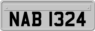 NAB1324