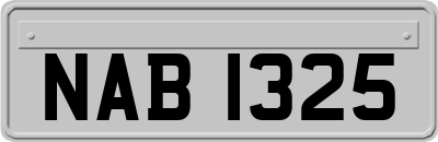 NAB1325