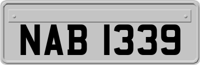 NAB1339