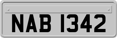 NAB1342