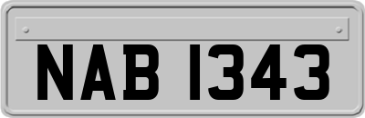 NAB1343