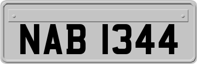 NAB1344