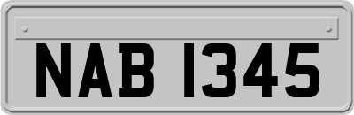 NAB1345