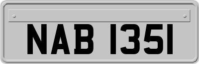 NAB1351