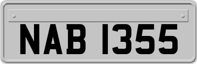 NAB1355