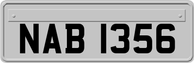 NAB1356