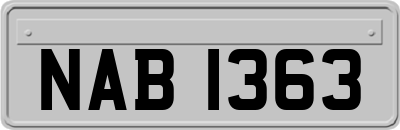 NAB1363