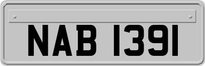 NAB1391