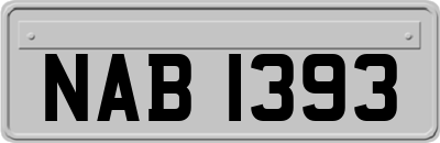 NAB1393