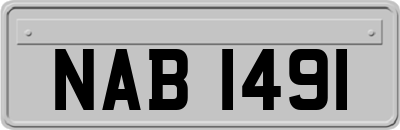 NAB1491