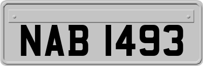 NAB1493