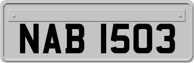 NAB1503