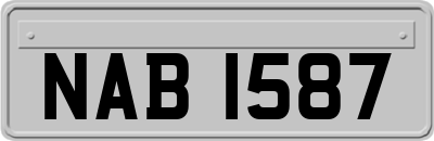 NAB1587