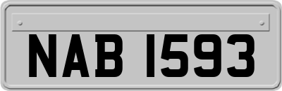 NAB1593