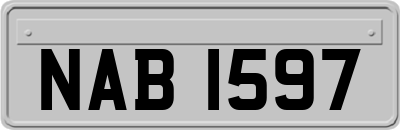 NAB1597