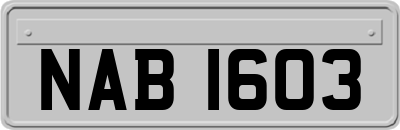 NAB1603