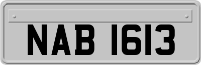 NAB1613