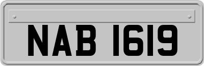 NAB1619