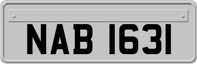 NAB1631