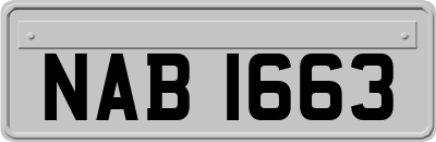 NAB1663