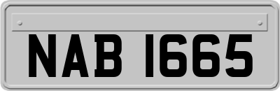 NAB1665