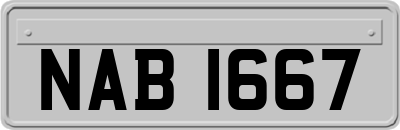 NAB1667