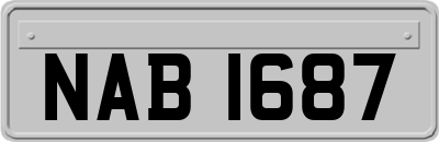 NAB1687