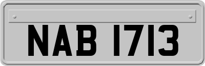 NAB1713