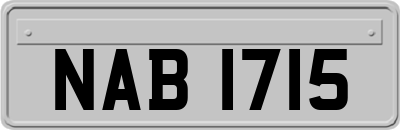 NAB1715