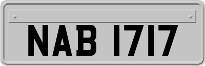 NAB1717