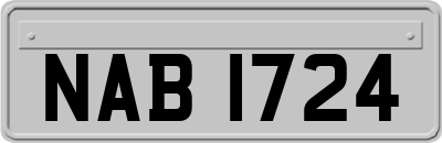 NAB1724