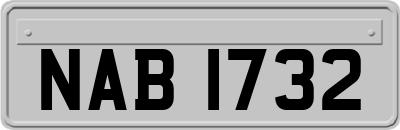 NAB1732