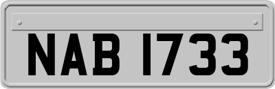 NAB1733