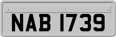 NAB1739