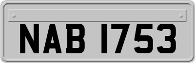 NAB1753