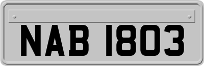 NAB1803