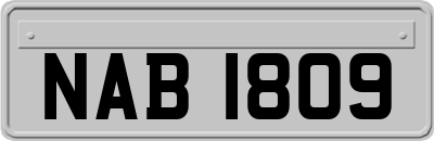 NAB1809