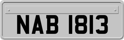 NAB1813