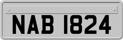 NAB1824