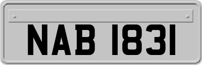 NAB1831