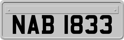 NAB1833