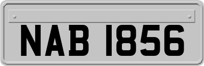 NAB1856