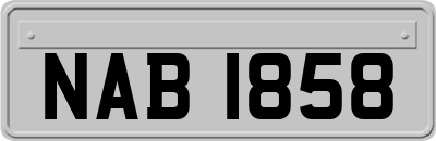 NAB1858