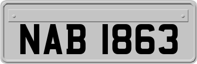 NAB1863