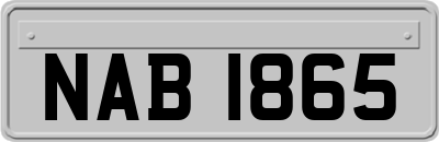 NAB1865