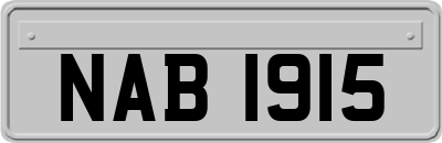 NAB1915