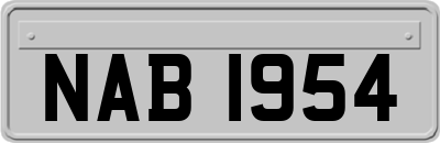 NAB1954
