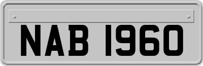 NAB1960