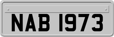 NAB1973