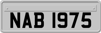 NAB1975